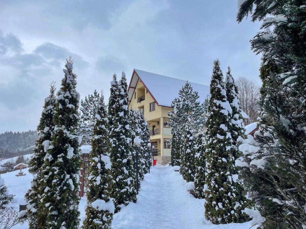 Casa Vero, sat Molid, com. Vama — foto 10