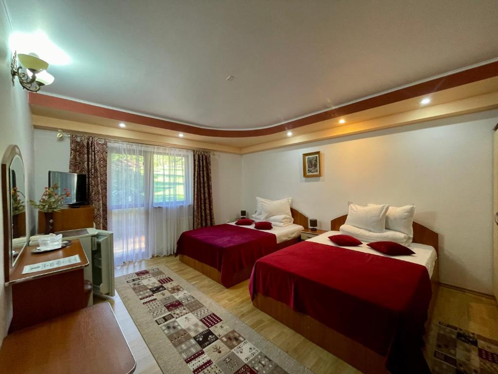 Casa Vero, sat Molid, com. Vama — foto 5