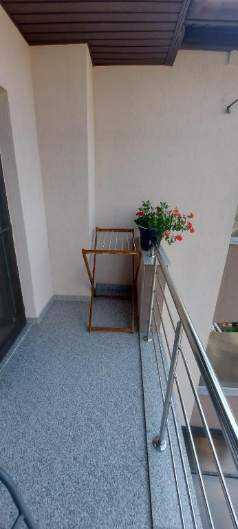 Vila Ozon, Eforie Nord — foto 12