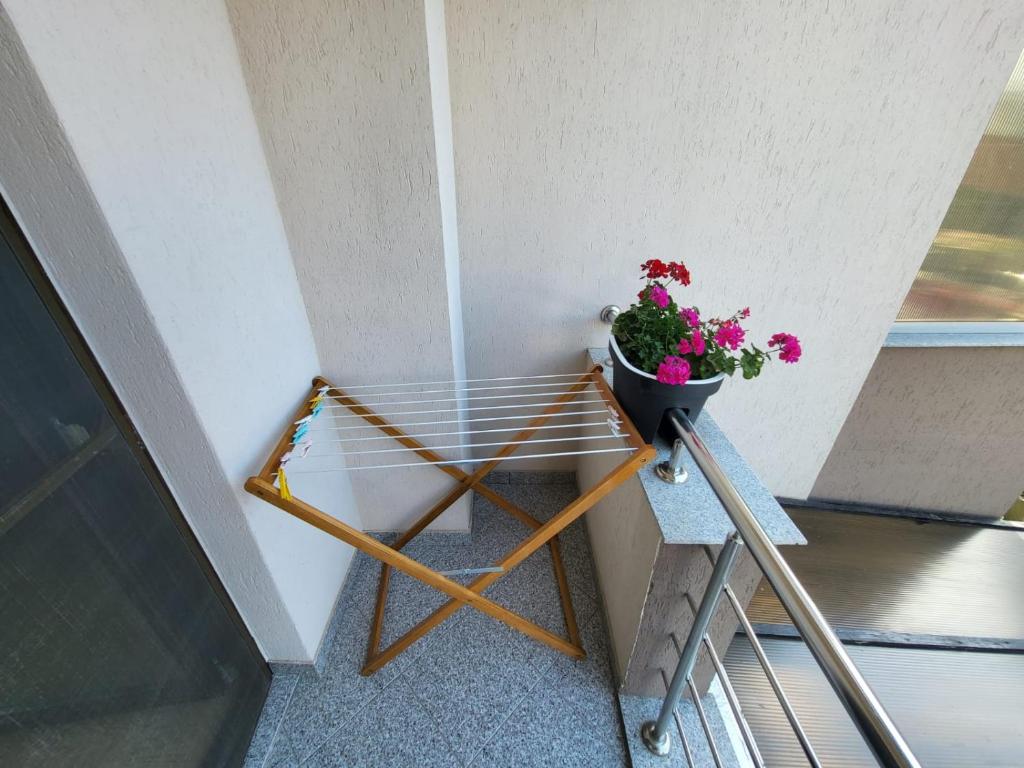 Vila Ozon, Eforie Nord — foto 21