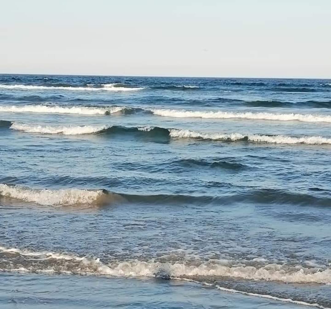 Apartament Flavi & Meli Holiday, Mamaia Nord, Navodari — foto 14