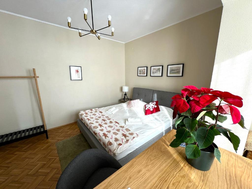 Kesletz House, Sibiu — foto 74