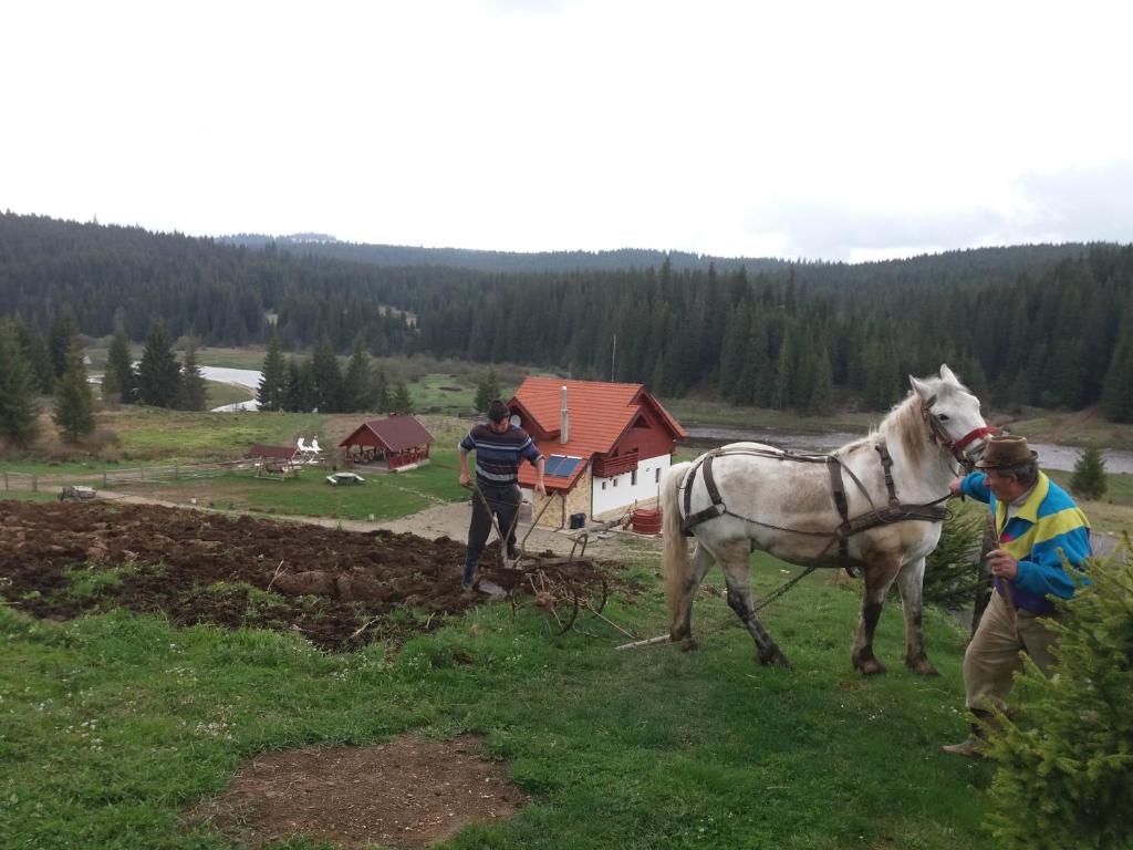 Pensiunea Agroturistica Alexandra, Belis, Cluj — foto 35