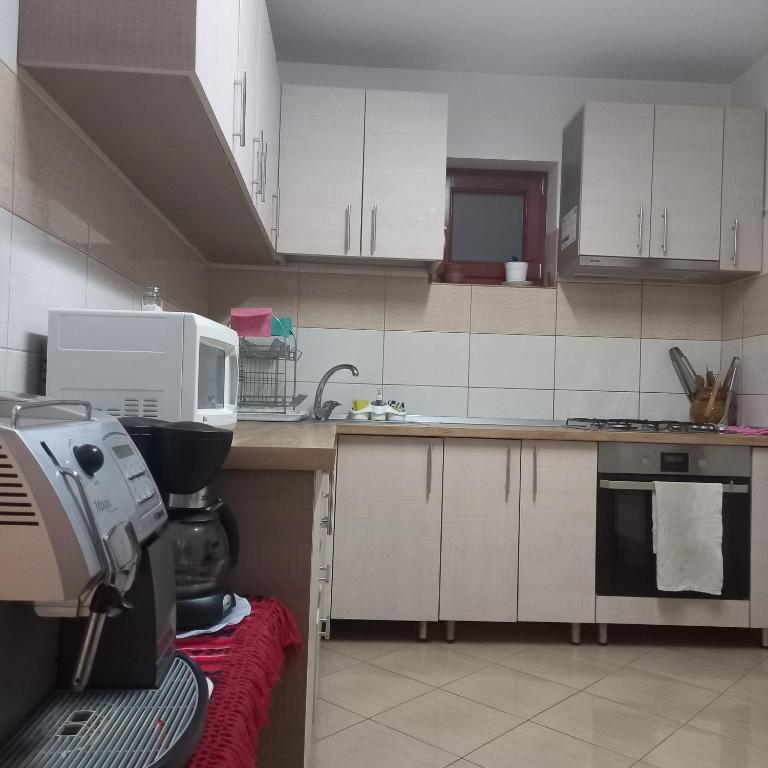 Pensiunea Agroturistica Alexandra, Belis, Cluj — foto 14