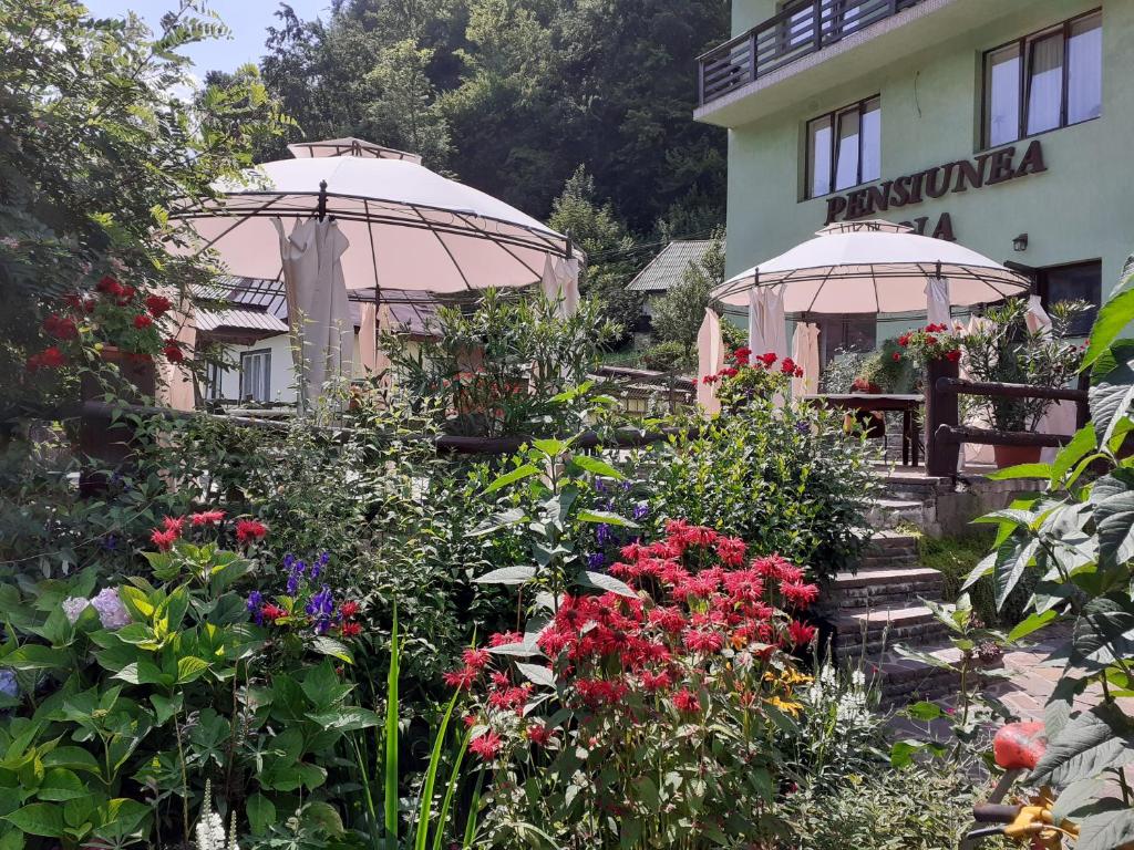 Pensiunea Ana, Cavnic, Maramures — foto 6