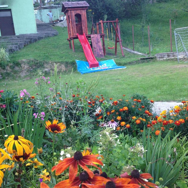 Pensiunea Ana, Cavnic, Maramures — foto 100