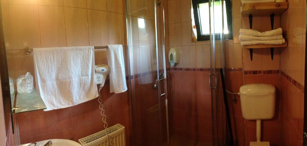 Pensiunea Ana, Cavnic, Maramures — foto 90