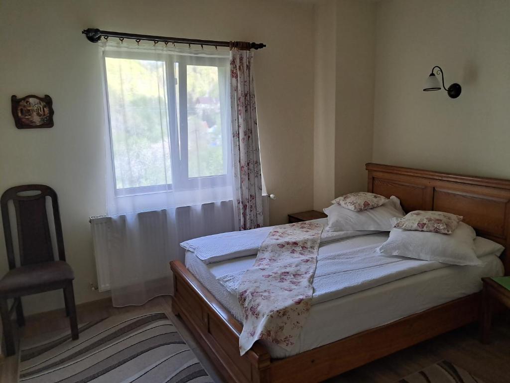 Pensiunea Ana, Cavnic, Maramures — foto 92