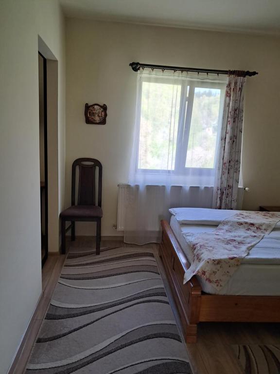 Pensiunea Ana, Cavnic, Maramures — foto 93