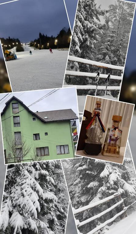 Pensiunea Ana, Cavnic, Maramures — foto 8