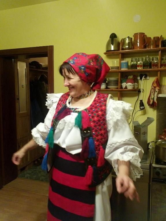Pensiunea Ana, Cavnic, Maramures — foto 17