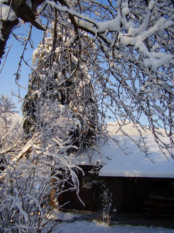 Pensiunea Ana, Cavnic, Maramures — foto 5
