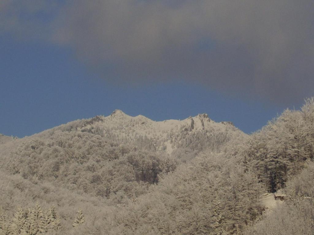 Pensiunea Ana, Cavnic, Maramures — foto 104