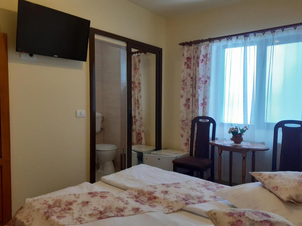 Pensiunea Ana, Cavnic, Maramures — foto 22