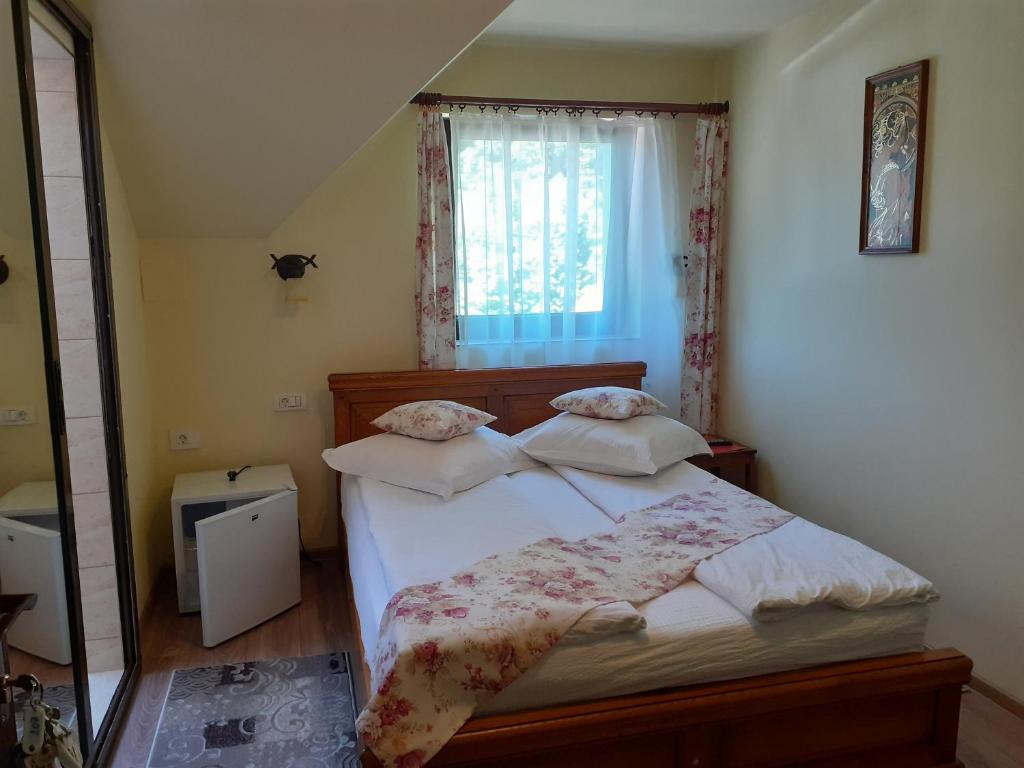 Pensiunea Ana, Cavnic, Maramures — foto 23