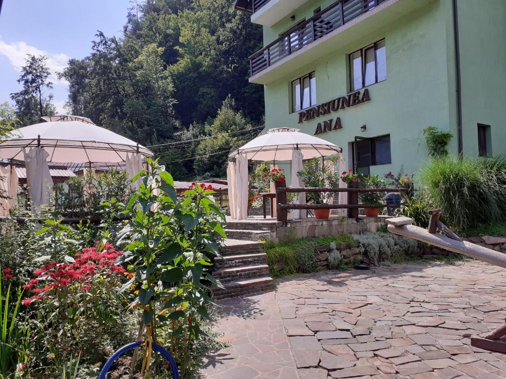 Pensiunea Ana, Cavnic, Maramures — foto 10