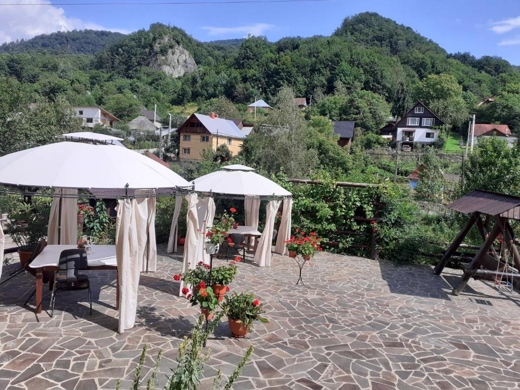 Pensiunea Ana, Cavnic, Maramures — foto 25
