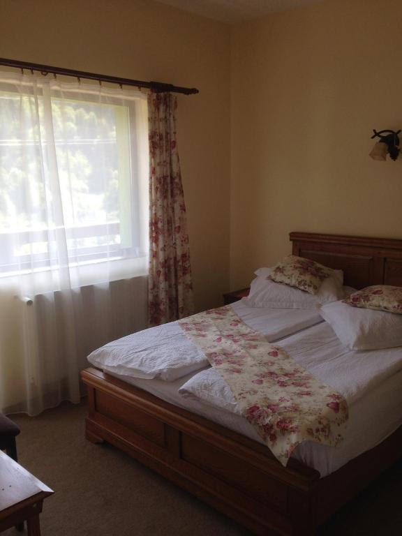 Pensiunea Ana, Cavnic, Maramures — foto 26