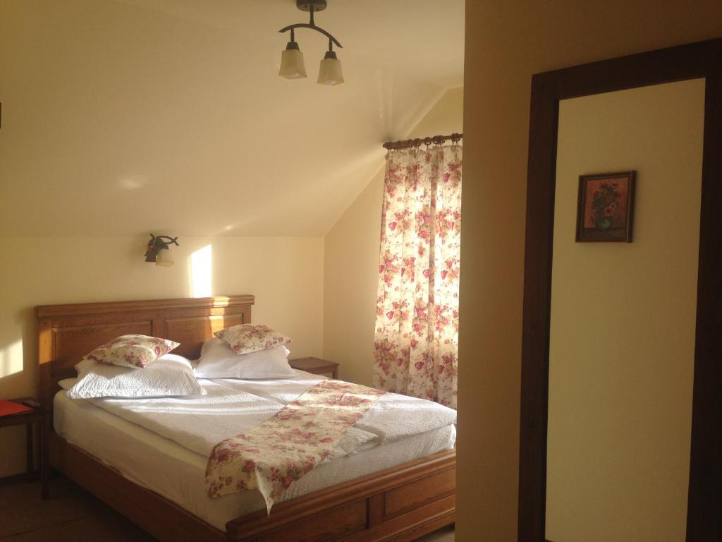 Pensiunea Ana, Cavnic, Maramures — foto 27
