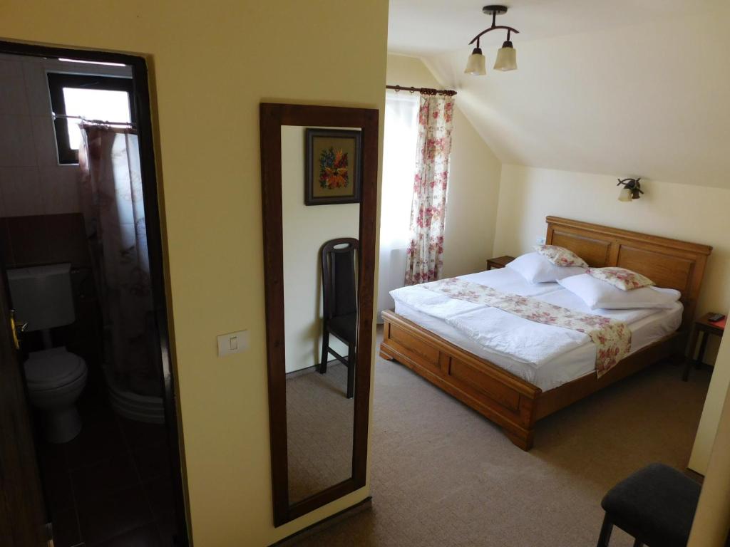 Pensiunea Ana, Cavnic, Maramures — foto 28