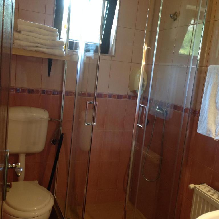 Pensiunea Ana, Cavnic, Maramures — foto 31