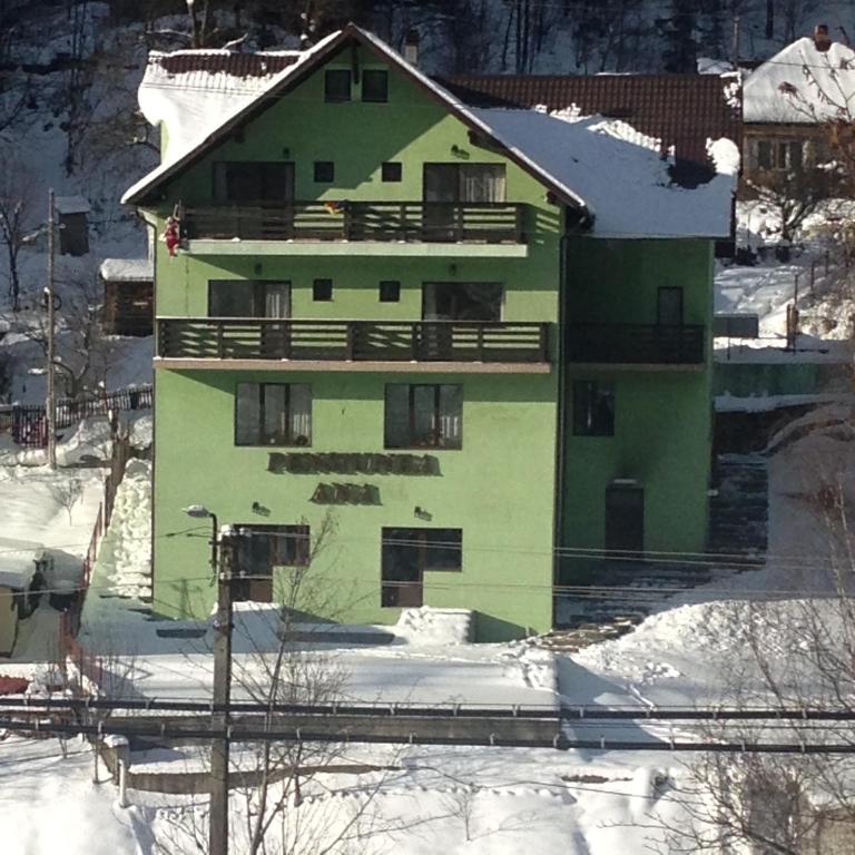 Pensiunea Ana, Cavnic, Maramures — foto 105