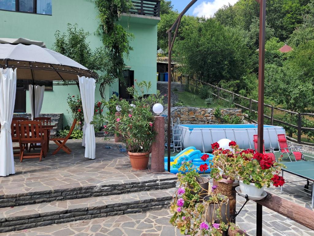 Pensiunea Ana, Cavnic, Maramures — foto 7