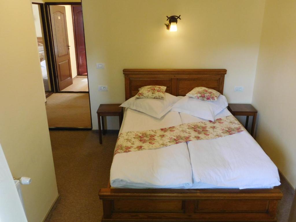 Pensiunea Ana, Cavnic, Maramures — foto 36