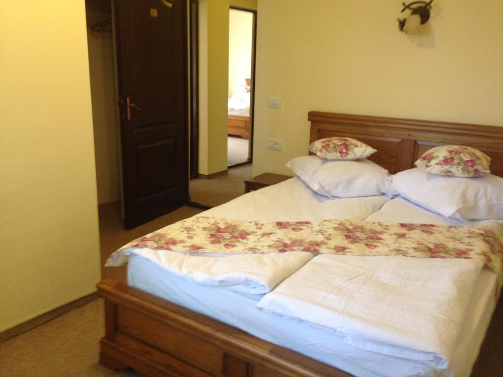 Pensiunea Ana, Cavnic, Maramures — foto 37
