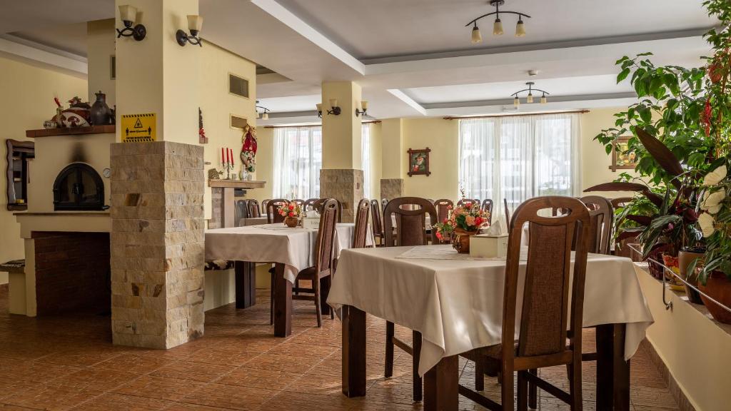 Pensiunea Ana, Cavnic, Maramures — foto 14