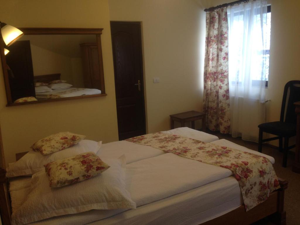 Pensiunea Ana, Cavnic, Maramures — foto 45