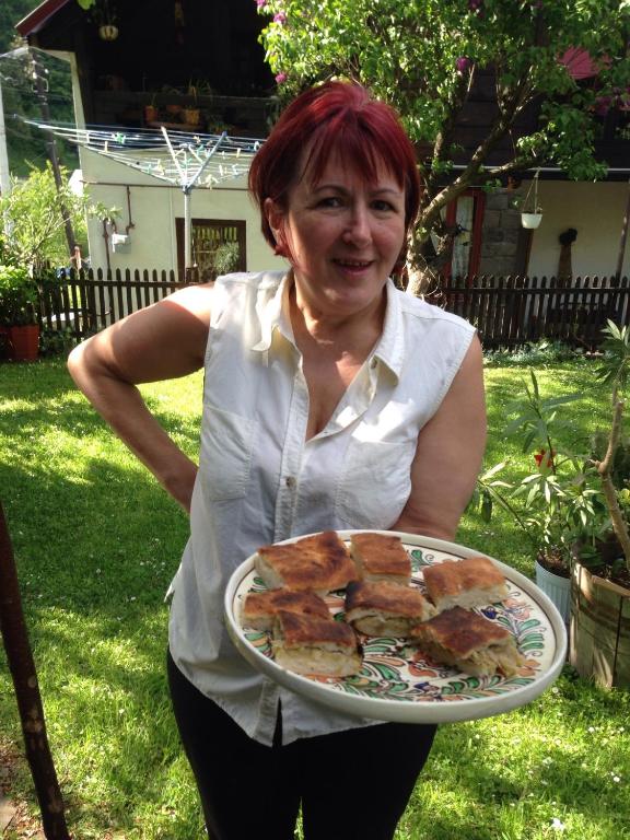 Pensiunea Ana, Cavnic, Maramures — foto 48