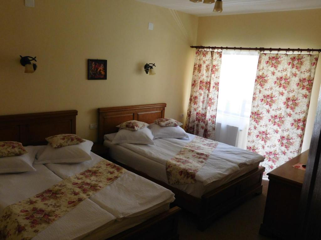 Pensiunea Ana, Cavnic, Maramures — foto 49