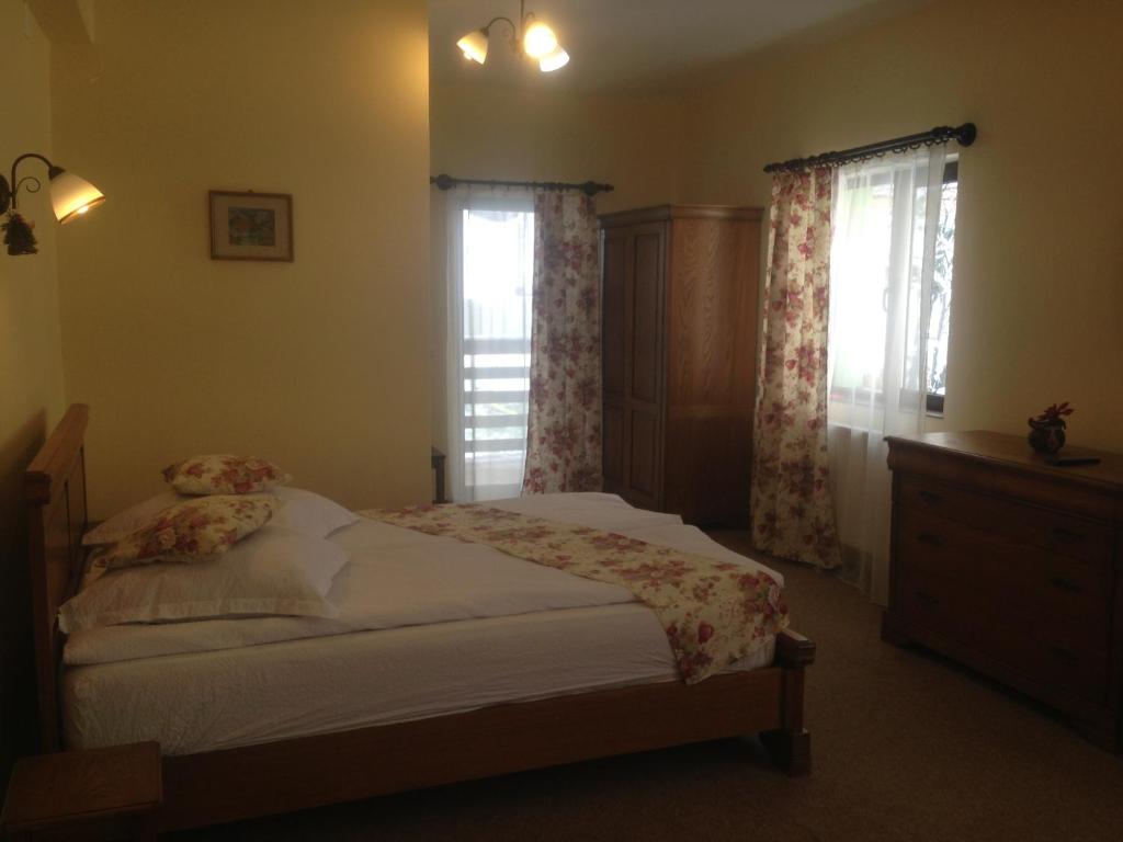 Pensiunea Ana, Cavnic, Maramures — foto 53