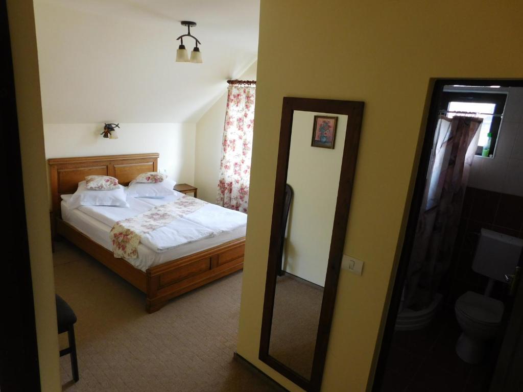 Pensiunea Ana, Cavnic, Maramures — foto 55