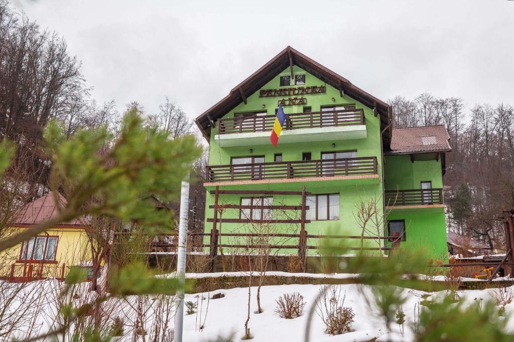 Pensiunea Ana, Cavnic, Maramures — foto 9