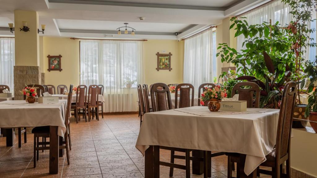 Pensiunea Ana, Cavnic, Maramures — foto 61
