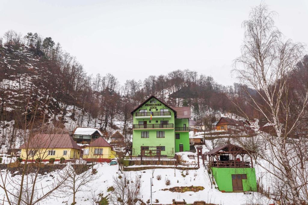 Pensiunea Ana, Cavnic, Maramures — foto 101