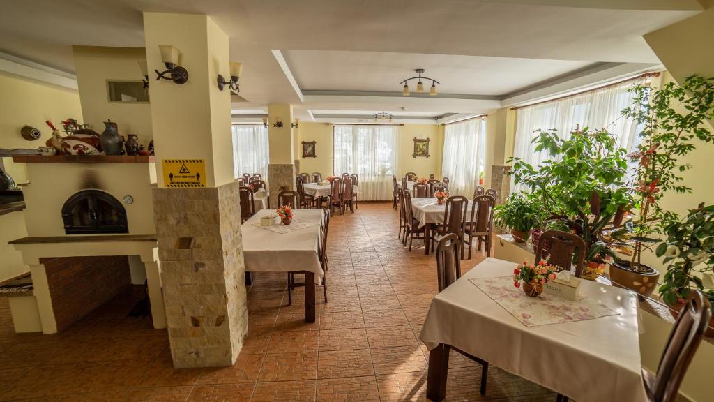 Pensiunea Ana, Cavnic, Maramures — foto 65