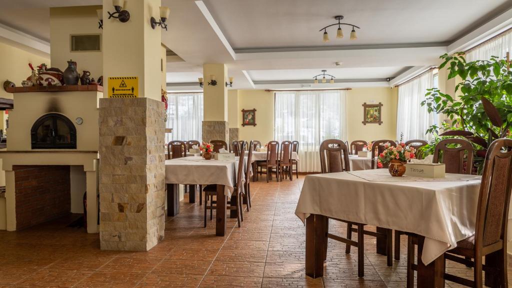 Pensiunea Ana, Cavnic, Maramures — foto 70