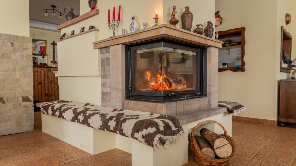 Pensiunea Ana, Cavnic, Maramures — foto 82