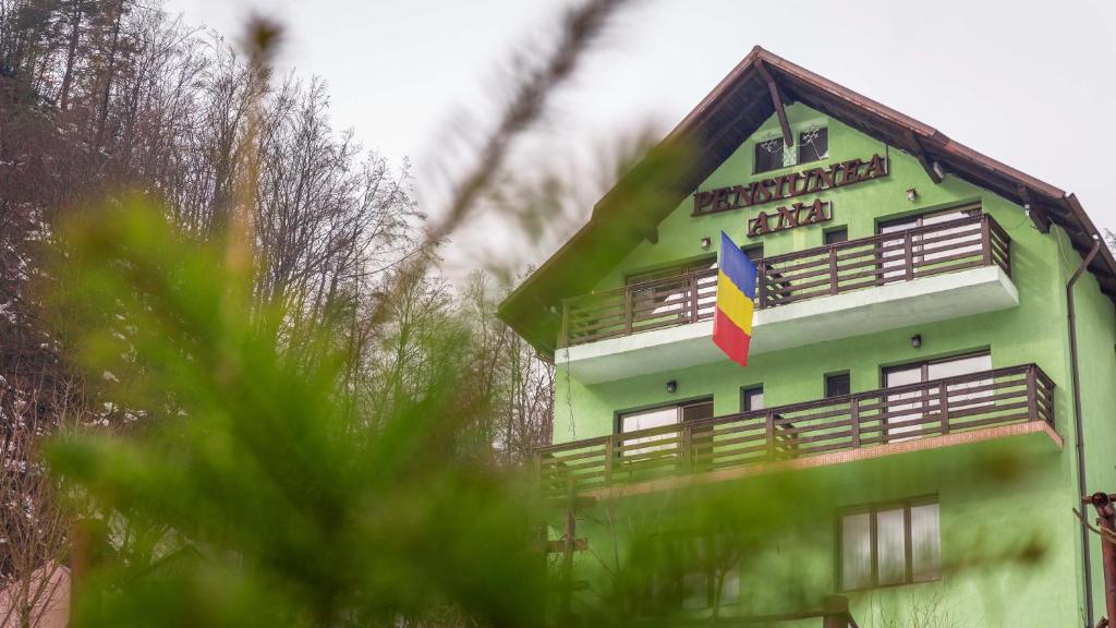 Pensiunea Ana, Cavnic, Maramures — foto 97