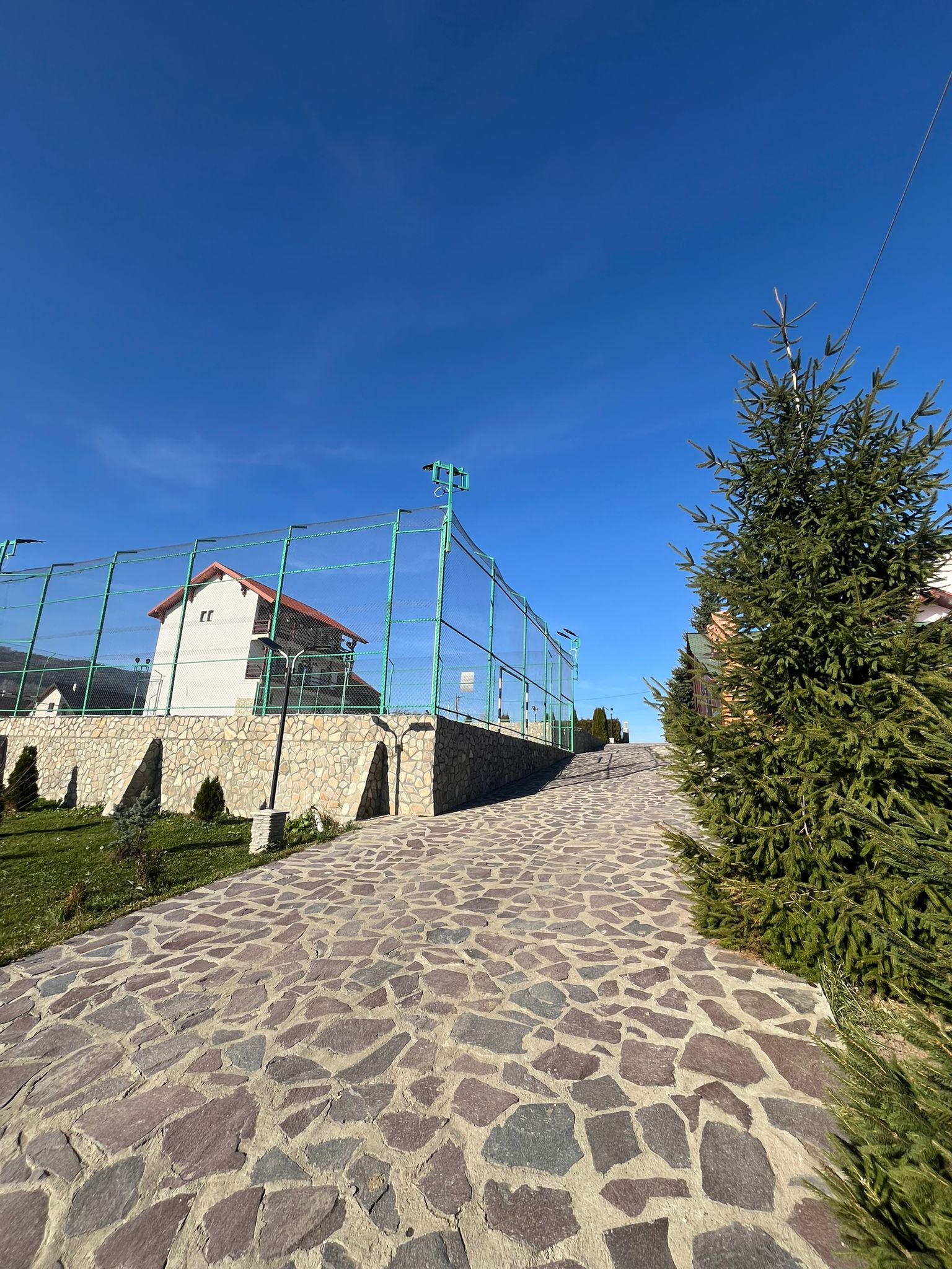 Pensiunea Daria, Văratec, Neamț — foto 24