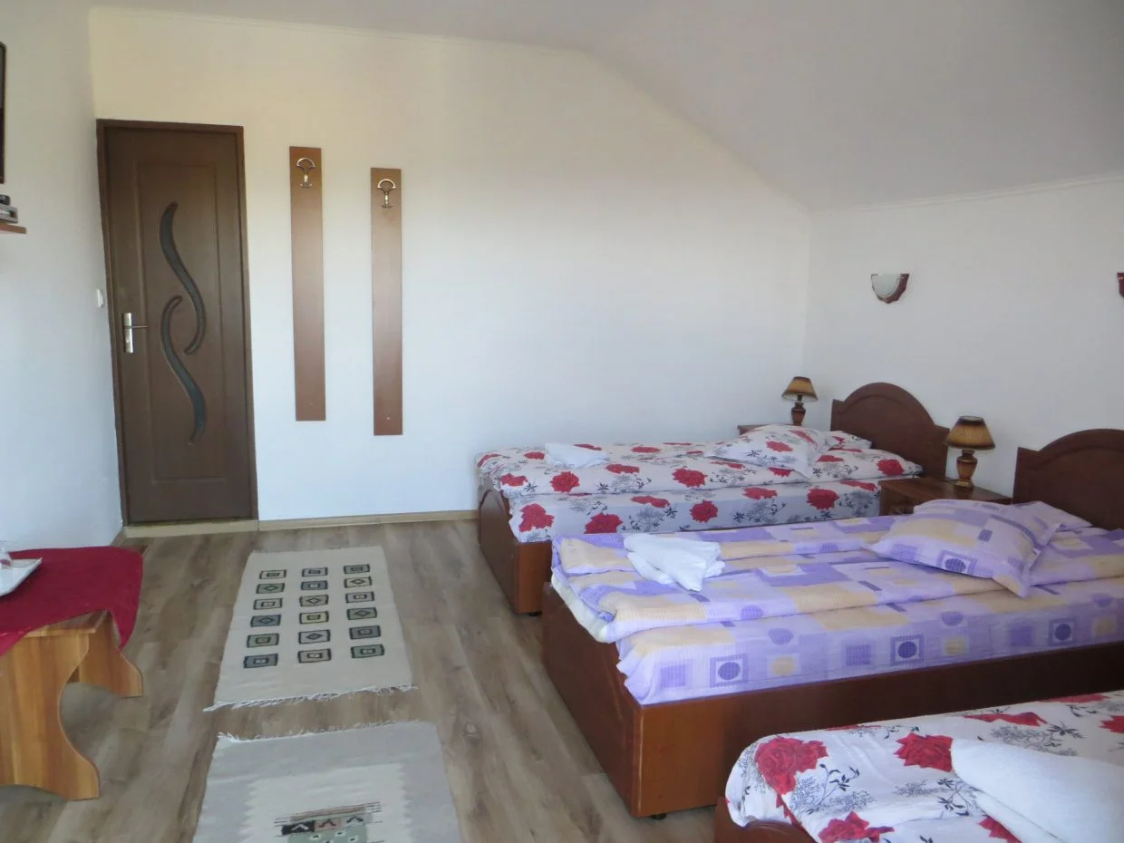 Pensiunea Daria, Văratec, Neamț — foto 15