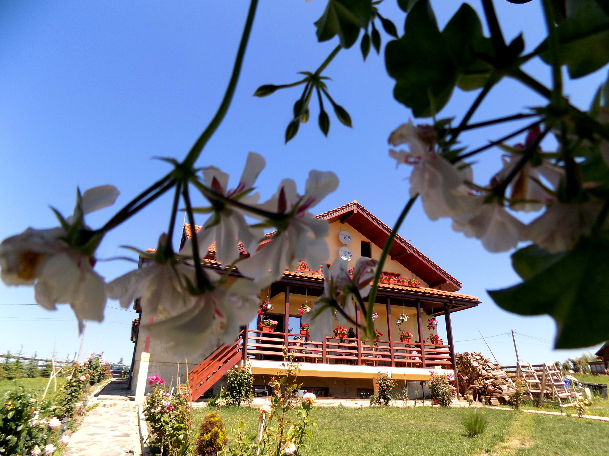 Pensiunea Daria, Văratec, Neamț — foto 17