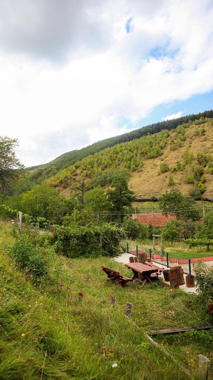 Pensiunea Darian & David, Marginimea Sibiului — foto 11