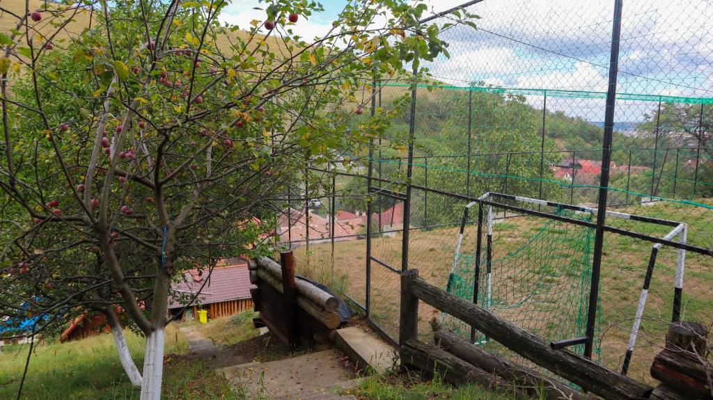 Pensiunea Darian & David, Marginimea Sibiului — foto 71