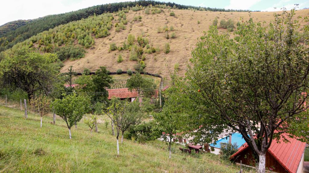 Pensiunea Darian & David, Marginimea Sibiului — foto 83
