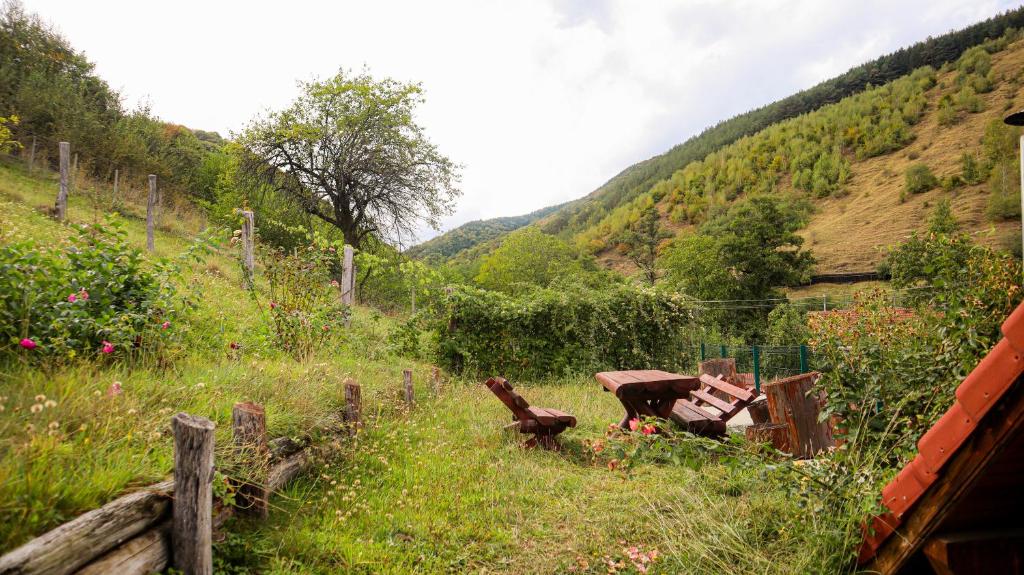 Pensiunea Darian & David, Marginimea Sibiului — foto 87
