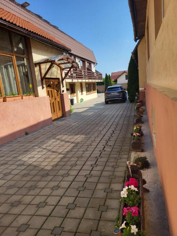 Pensiunea Denim, Șelimbăr, Sibiu — foto 30